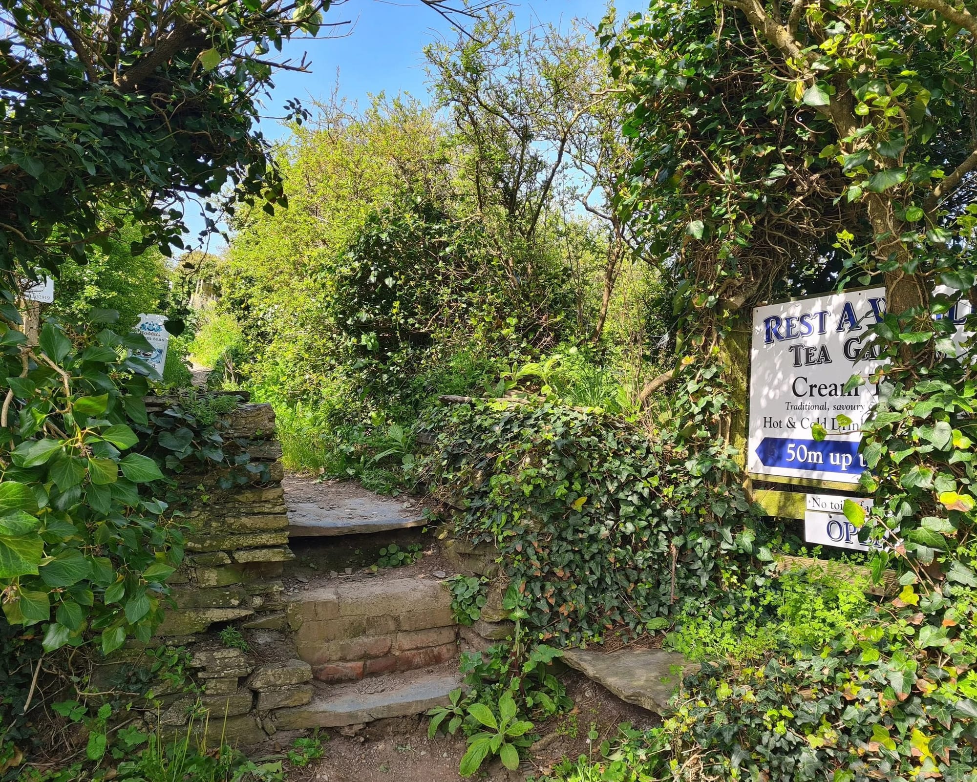 South West Coast Path near Rest A While Tea Garden with spectacular coastal views