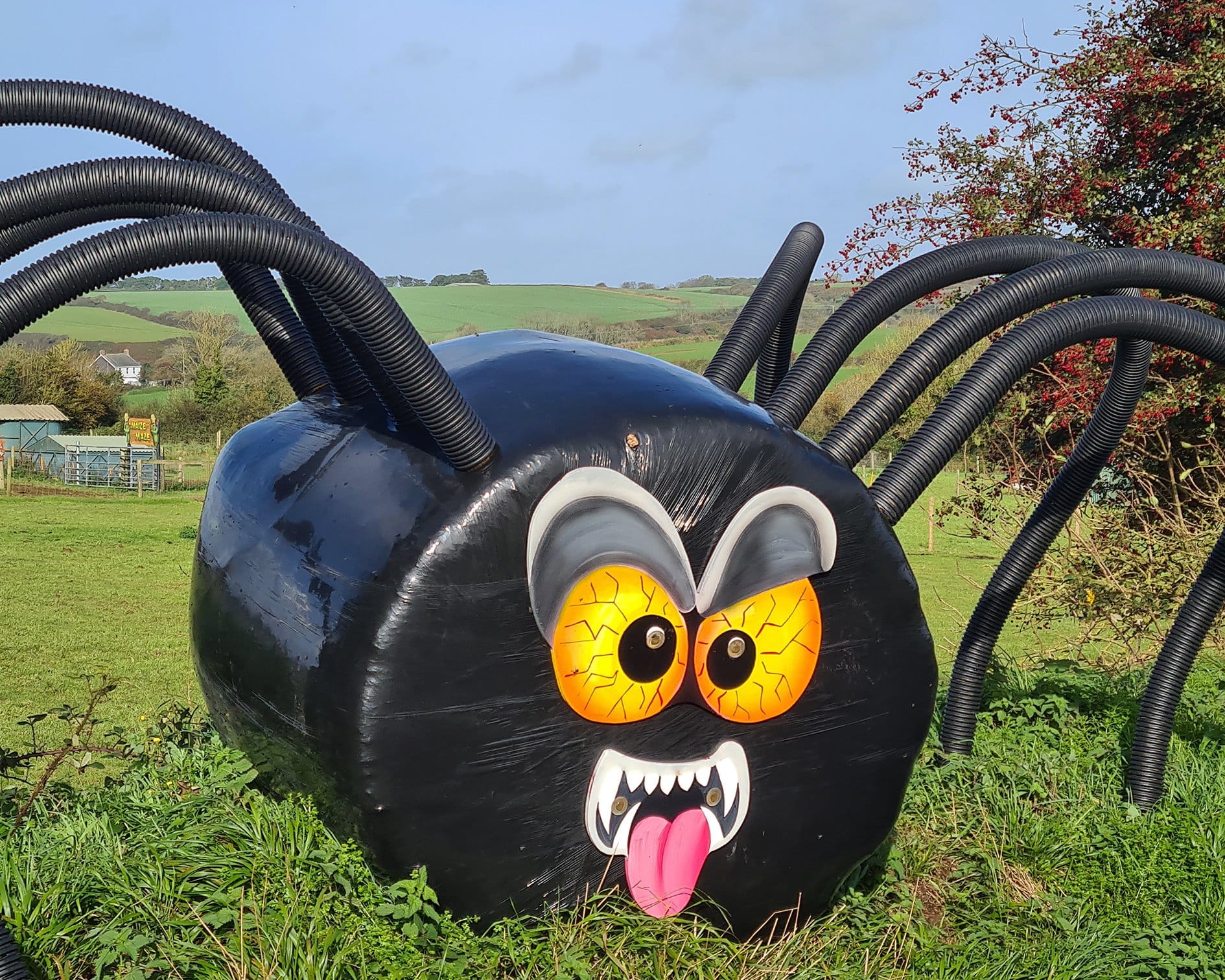 Dairyland Farm Park, a family attraction near Padstow with animals and play areas